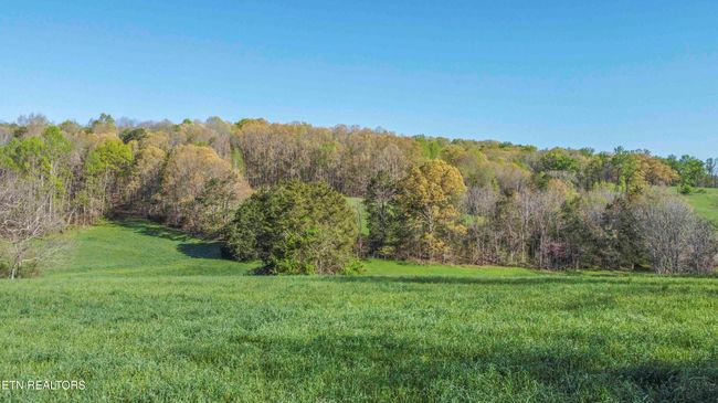160 Lost Creek Rd, Home with 0 bedrooms, 0 bathrooms and null parking in Sharps Chapel TN | Image 17