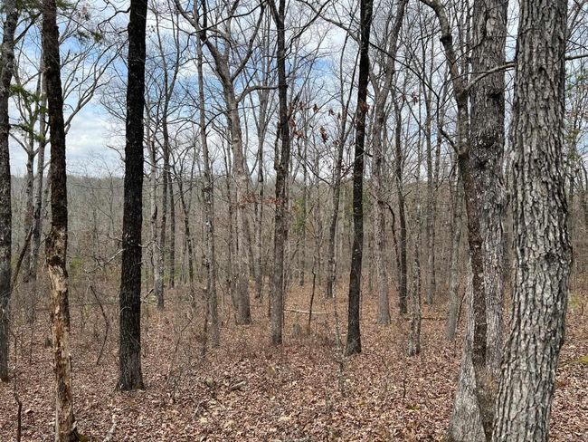 00 Yates Ln, Home with 0 bedrooms, 0 bathrooms and null parking in Tumbling Shoals AR | Image 4
