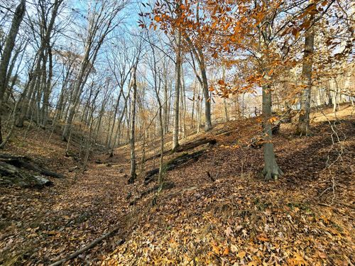 1832 Piegan Court, Hide A Way Hills, OH, 43107 | Card Image