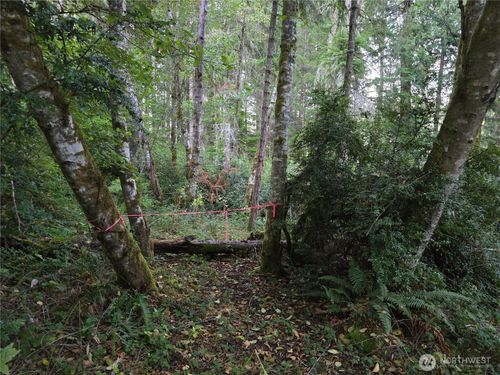 12727 96th Court, Anderson Island, WA, 98303 | Card Image