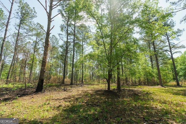 6053 Sun Hill Grange Rd, Home with 0 bedrooms, 0 bathrooms and null parking in Davisboro GA | Image 99