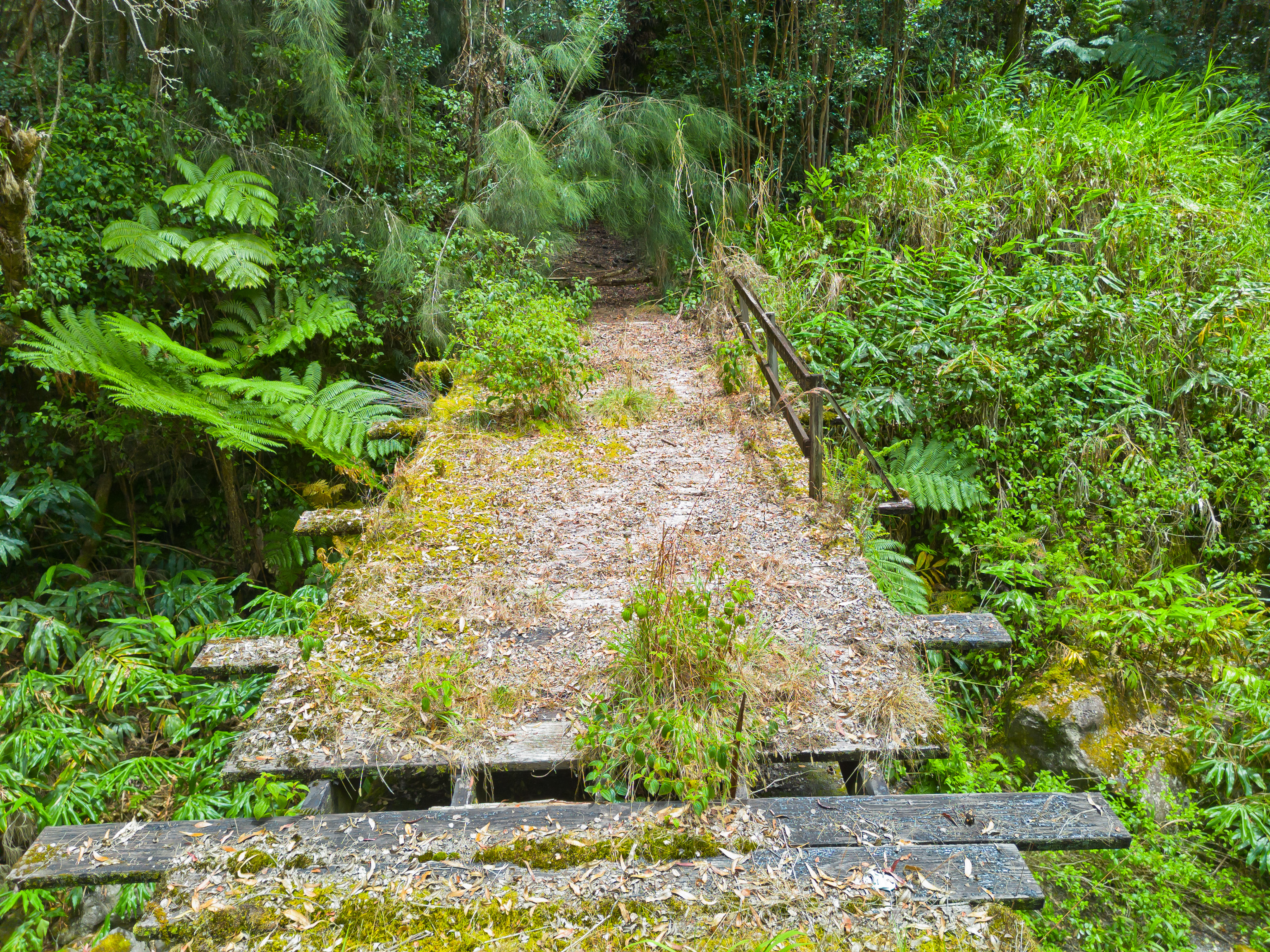 Land in Ookala 4