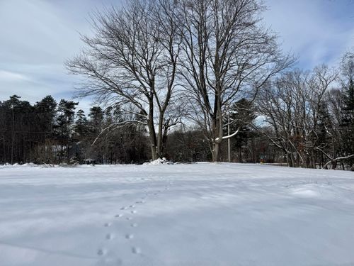 6593 134th Ave, Saugatuck, MI, 49453-9657 | Card Image