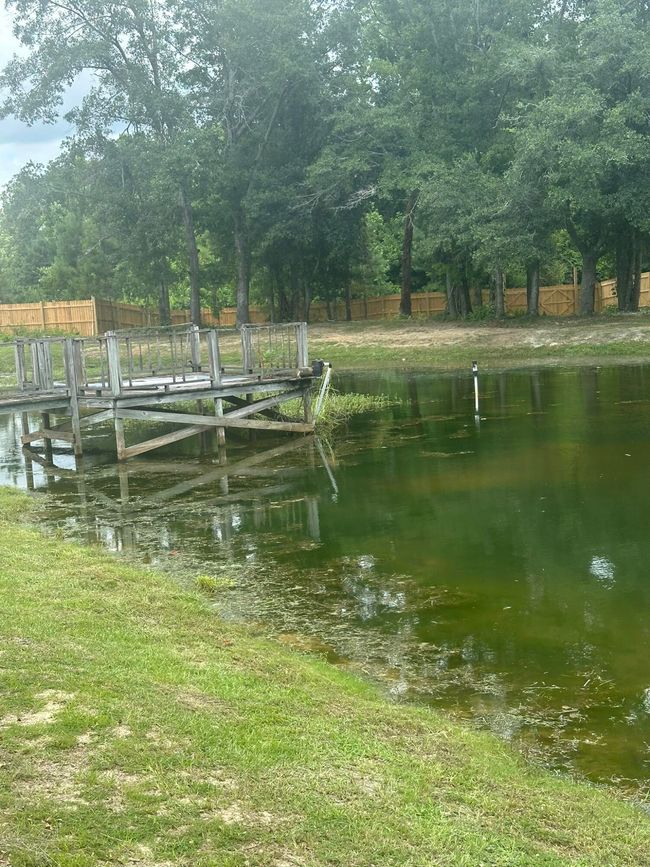 Pond | Image 20