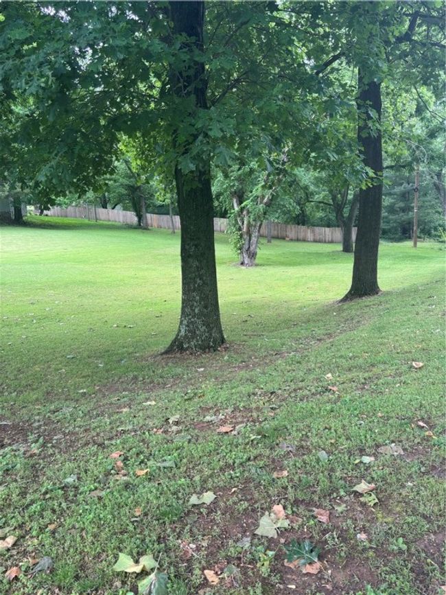 1010 W Sherman Ave, House other with 4 bedrooms, 2 bathrooms and null parking in Harrison AR | Image 5