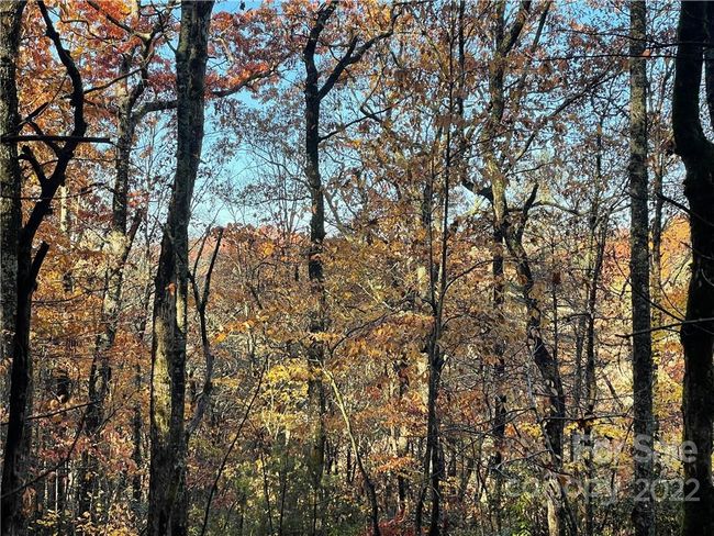 4 - 9999 Sassafras Ln, Home with 0 bedrooms, 0 bathrooms and null parking in Cedar Mountain NC | Image 26