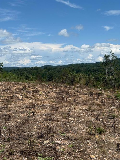 12952 Highway 5 S, Norfork, AR, 72658-8600 | Card Image