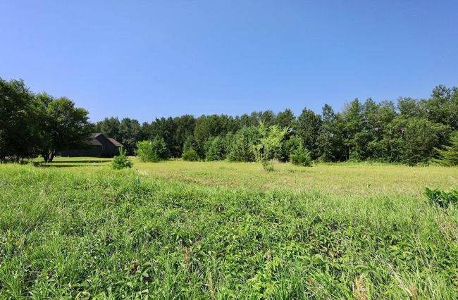 IMG_3034.jpeg | Image 16