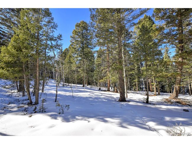 810 Ridge Rd, Home with 0 bedrooms, 0 bathrooms and null parking in Divide CO | Image 5