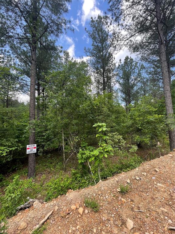 Land in Broken Bow