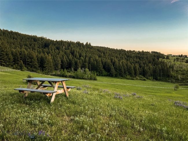 Your own private picnic spot situated in an elk friendly open wildflower meadow. | Image 71