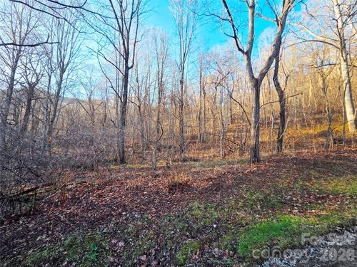 29-123 Live Oak Loop, Waynesville, NC, 28785 | Card Image