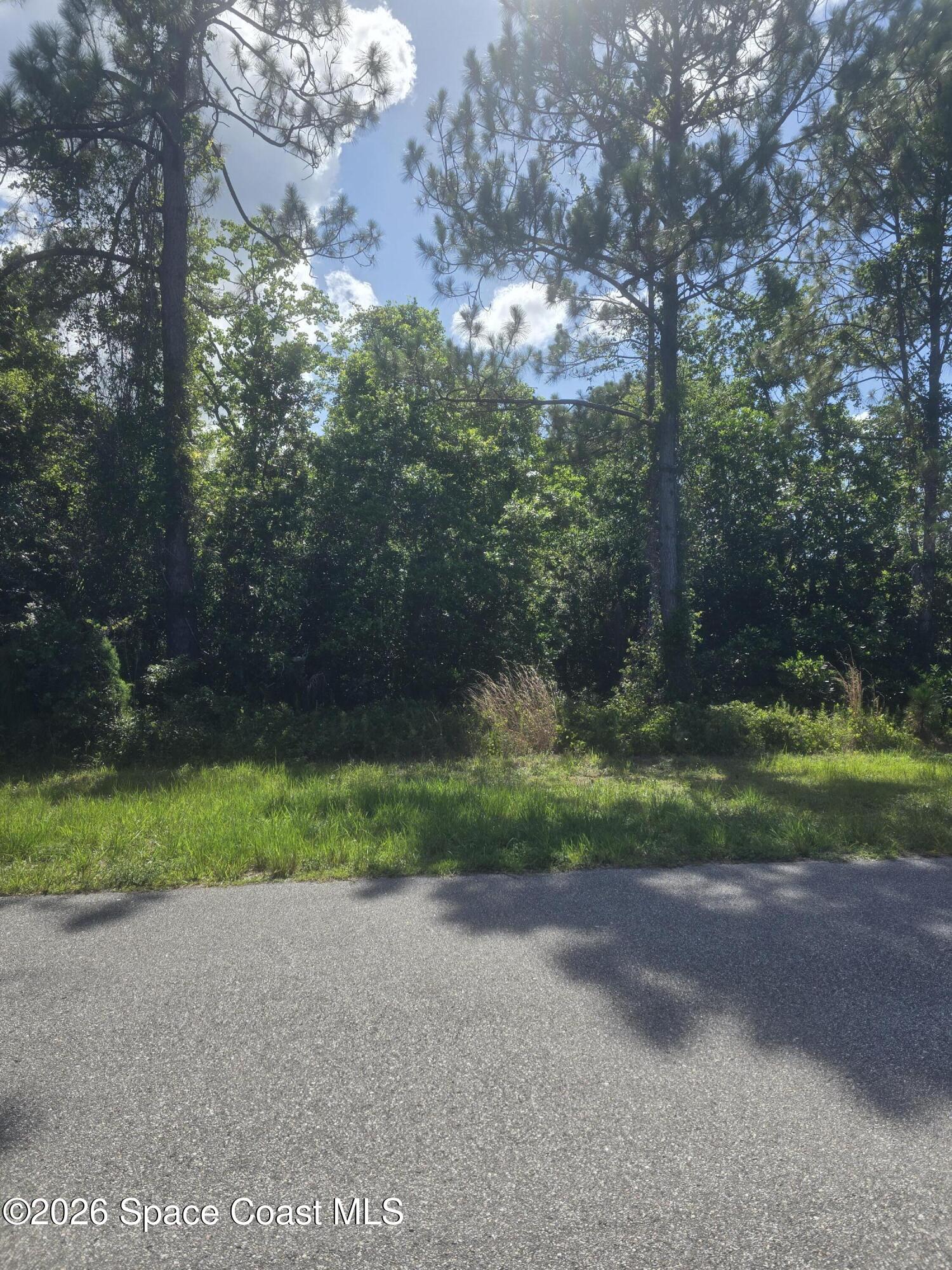 Land in Titusville 3