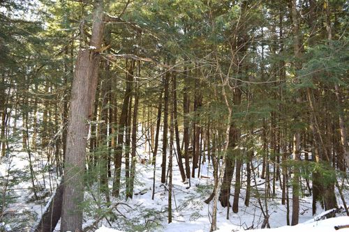 Lot 185 Hanover Drive, Haverhill, NH, 03765 | Card Image