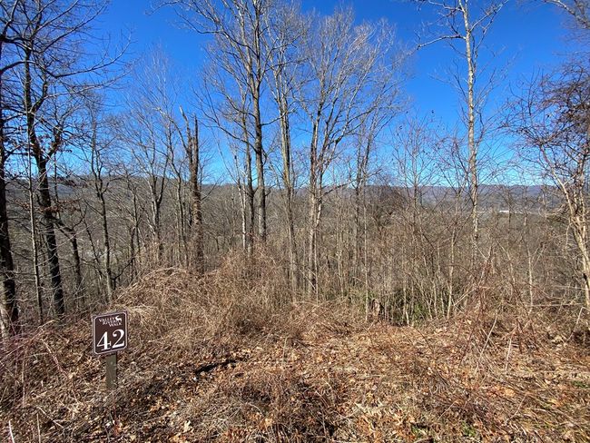 Lot 42 Silo View, Home with 0 bedrooms, 0 bathrooms and null parking in Marble NC | Image 5