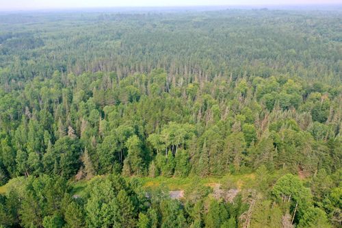 TBD Virginia Ely Rd, Babbitt, MN, 55706 | Card Image