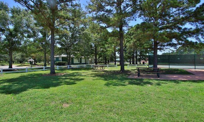 Enjoy an afternoon picnic under the trees | Image 47