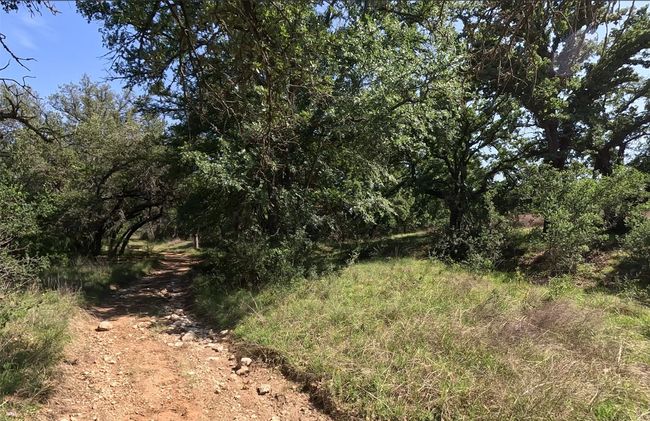 View of landscape | Image 35