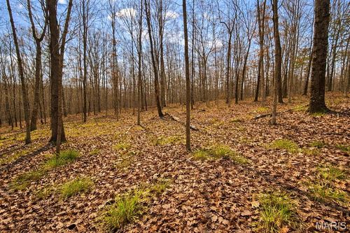 000 Apache Trl, Raymondville, MO, 65555 | Card Image