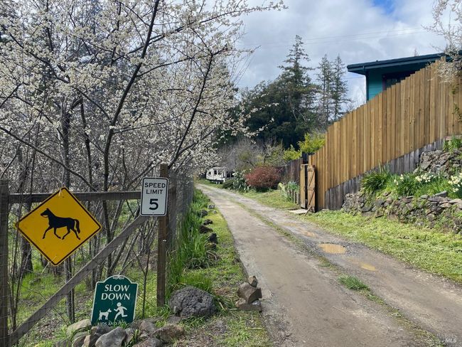 65401 Highway 271, House other with 5 bedrooms, 3 bathrooms and 5 parking in Leggett CA | Image 49