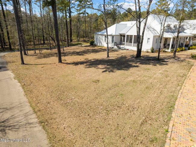 Lost Rabbit Lot-8 | Image 4
