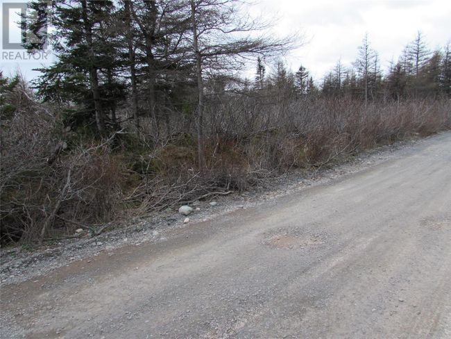 45 New Line Road, Home with 0 bedrooms, 0 bathrooms and null parking in Colliers NL | Image 5