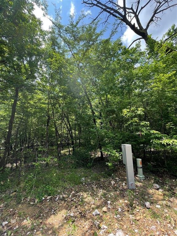 Land in Broken Bow 2