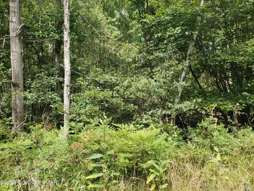 C3 State Route 903, Albrightsville, PA, 18210 | Card Image