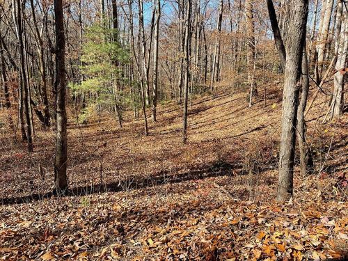 TBD Ash Knob Rd, Hayesville, NC, 28904 | Card Image