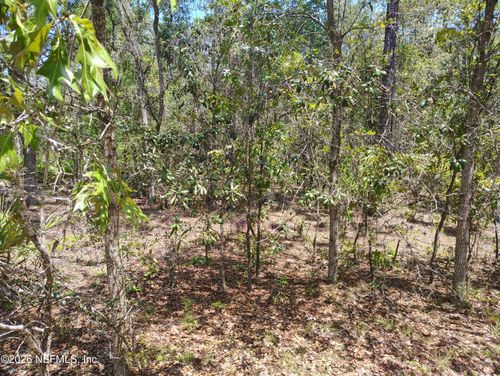 TBD Sumac Street, Interlachen, FL, 32148 | Card Image