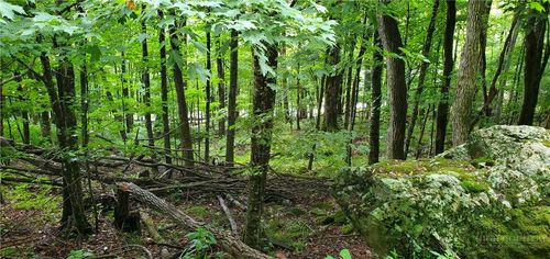 lot 81 Thorncliff Dr, Banner Elk, NC, 28604 | Card Image