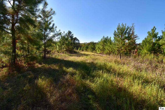 425 Highway 821, Home with 0 bedrooms, 0 bathrooms and null parking in Choudrant LA | Image 4