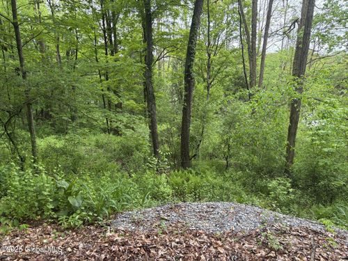 238 Emigh Rd, Rock City Falls, NY, 12863-1216 | Card Image