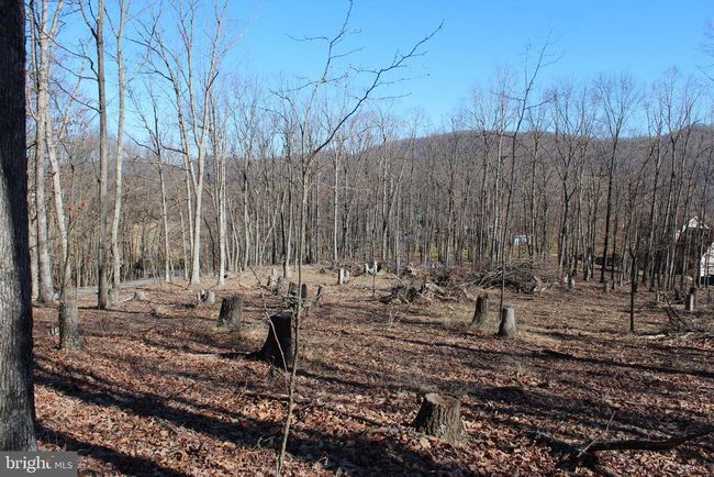 141 Hillcrest Dr, Home with 0 bedrooms, 0 bathrooms and null parking in New Creek WV | Image 13