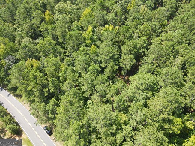 LOTT 22 Apalachee Woods Dr, Home with 0 bedrooms, 0 bathrooms and null parking in Buckhead GA | Image 11