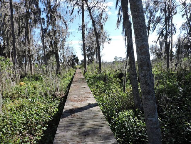 192 Commercial Ave, Home with 0 bedrooms, 0 bathrooms and null parking in East Palatka FL | Image 9