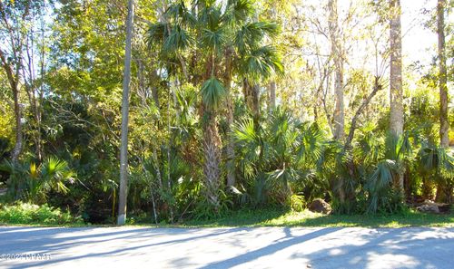 0 Palm St, NEW SMYRNA BEACH, FL, 32168 | Card Image