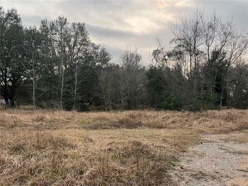 0 Winner Dr, Grand Bay, AL, 36541 | Card Image