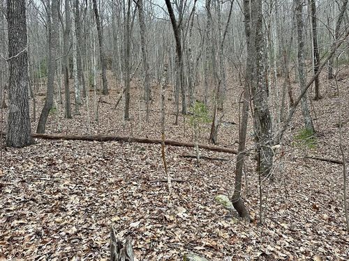 15-19 Indian Rock Springs, Murphy, NC, 28906 | Card Image