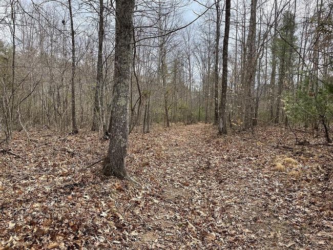 131 - 70 Estaline Valley Rd, Home with 0 bedrooms, 0 bathrooms and null parking in CRAIGSVILLE VA | Image 5