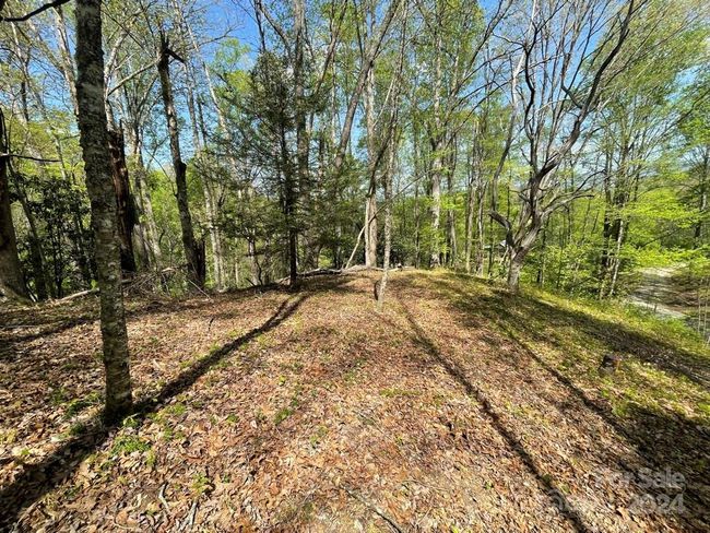 0000 Cawood Ln, Home with 0 bedrooms, 0 bathrooms and null parking in Clyde NC | Image 11
