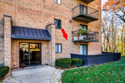 101 - 6040 Lake Bluff Drive, Condo with 2 bedrooms, 2 bathrooms and 2 parking in Tinley Park IL | Image 3