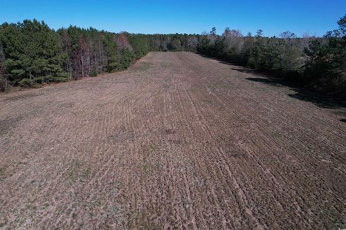 819 Quail Rd, Hemingway, SC, 29554-7421 | Card Image