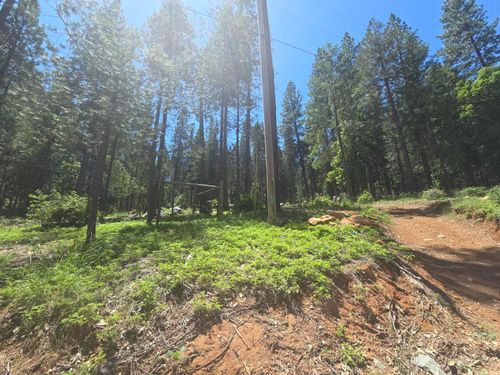 12181 Robust Way, Nevada City, CA, 95959-9256 | Card Image