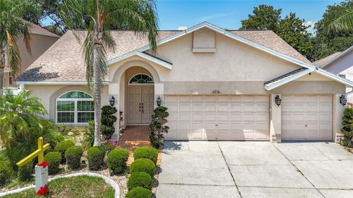 11216 Longbrooke Dr, RIVERVIEW, FL, 33579-7078 | Card Image