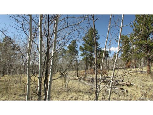 115 Wills Way, Jefferson, CO, 80456-9707 | Card Image