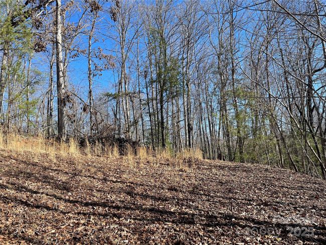 0000 Pine Log Rd, Home with 0 bedrooms, 0 bathrooms and null parking in Warne NC | Image 19