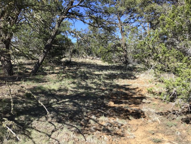Lot 7 Red Fox Road, Home with 0 bedrooms, 0 bathrooms and null parking in Ramah NM | Image 35