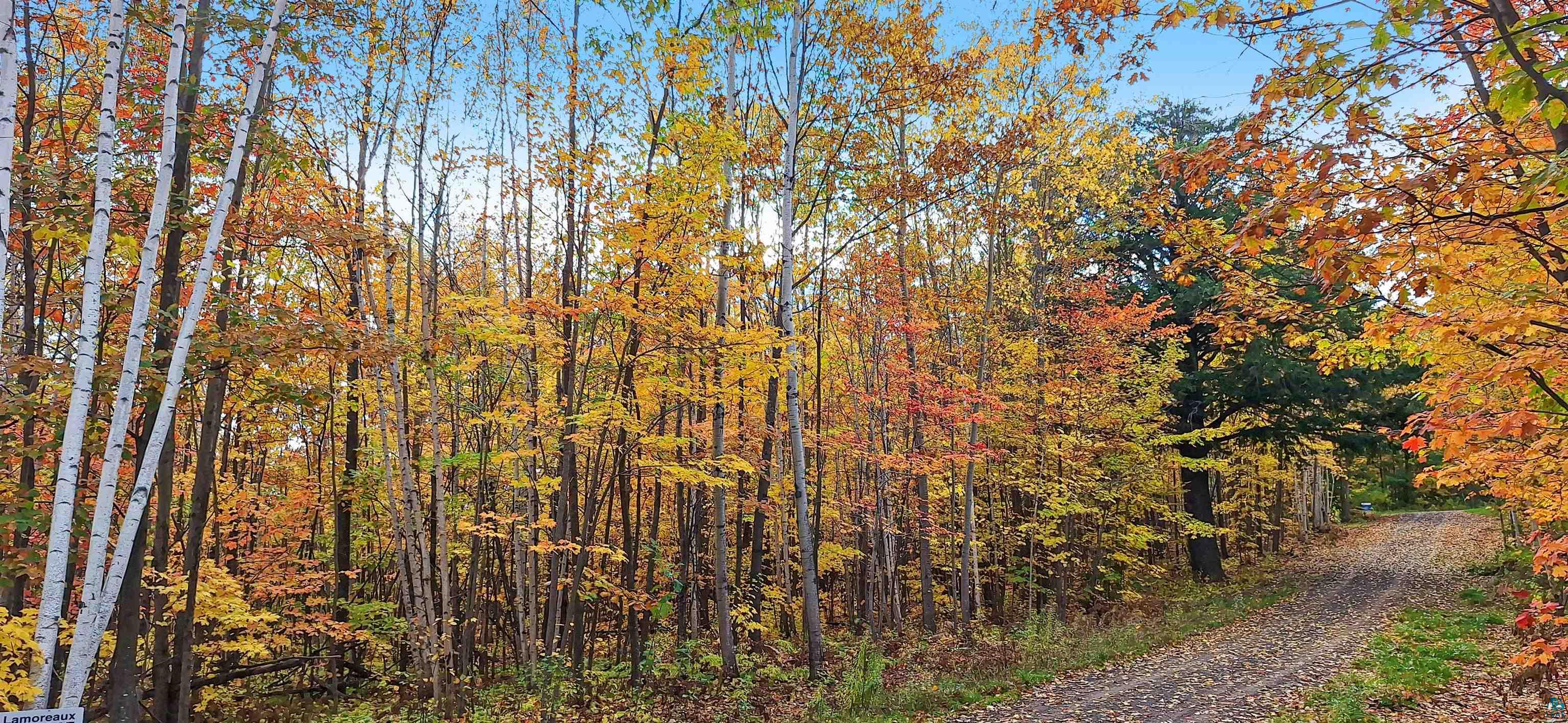 Land in Bayfield 4