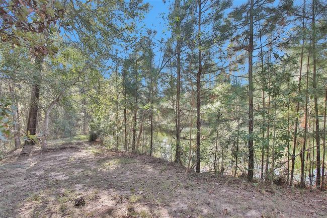 Pond is approximately 15 feet deep | Image 38